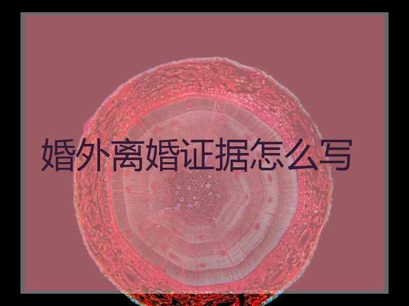 婚外离婚证据怎么写