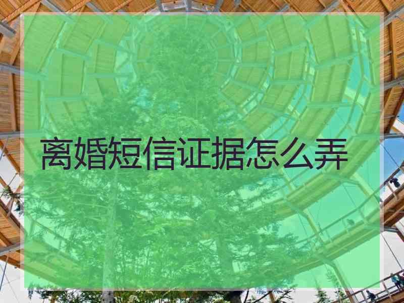 离婚短信证据怎么弄