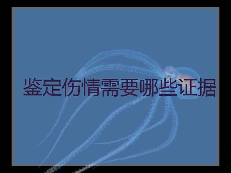 鉴定伤情需要哪些证据