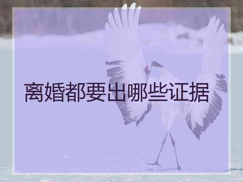 离婚都要出哪些证据