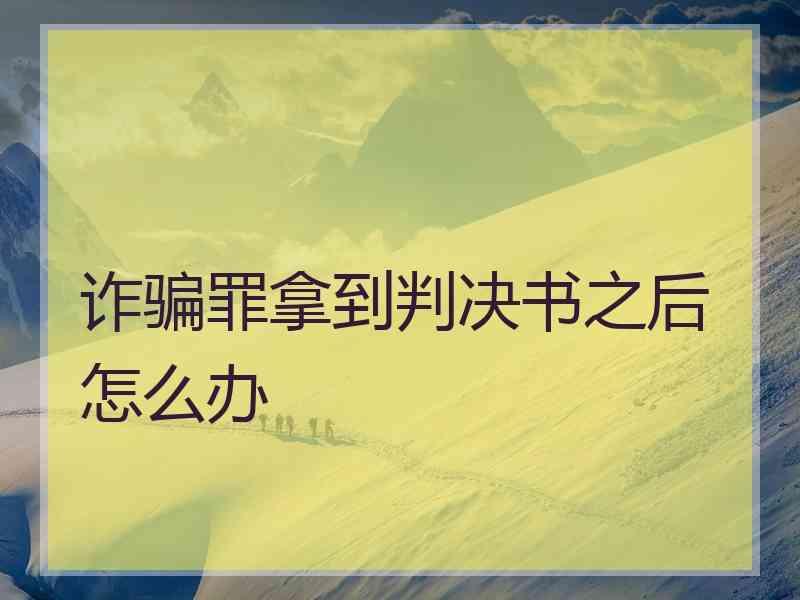 诈骗罪拿到判决书之后怎么办