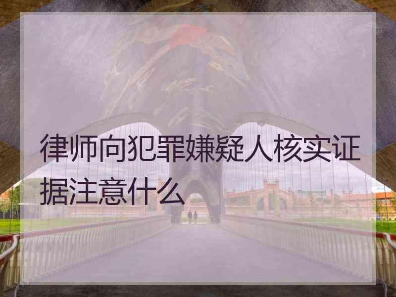 律师向犯罪嫌疑人核实证据注意什么