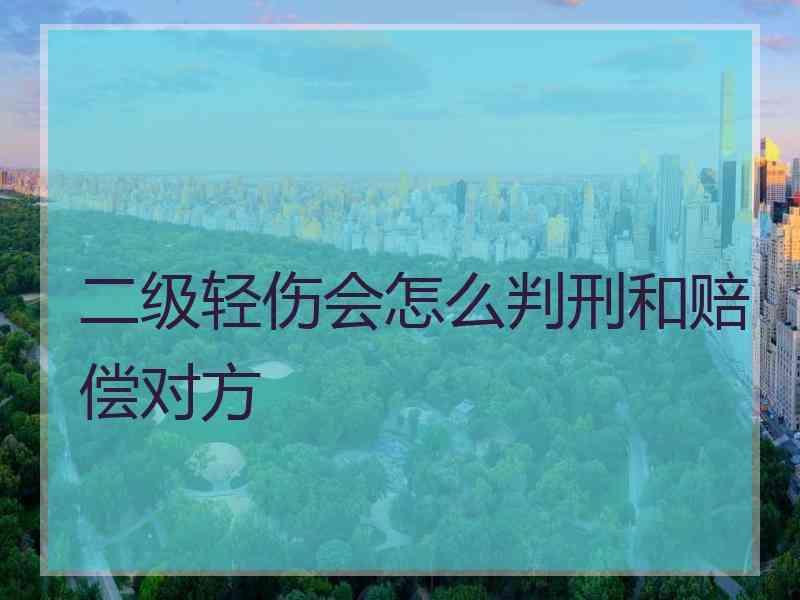 二级轻伤会怎么判刑和赔偿对方