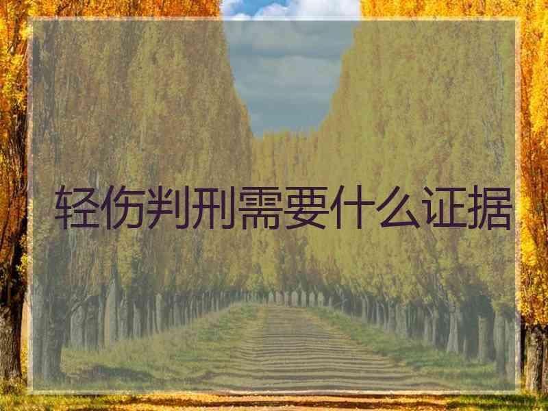 轻伤判刑需要什么证据