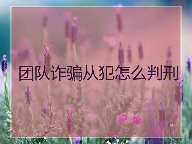 团队诈骗从犯怎么判刑