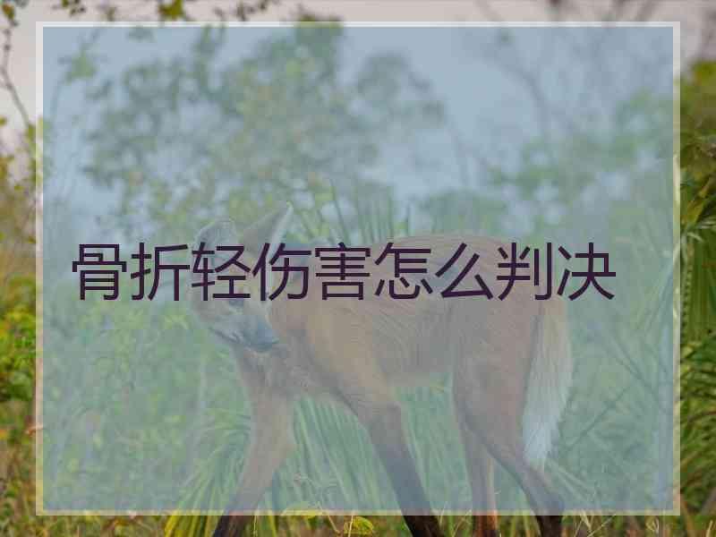 骨折轻伤害怎么判决