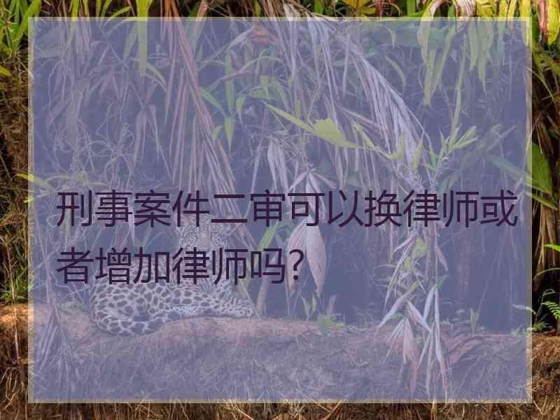 刑事案件二审可以换律师或者增加律师吗?