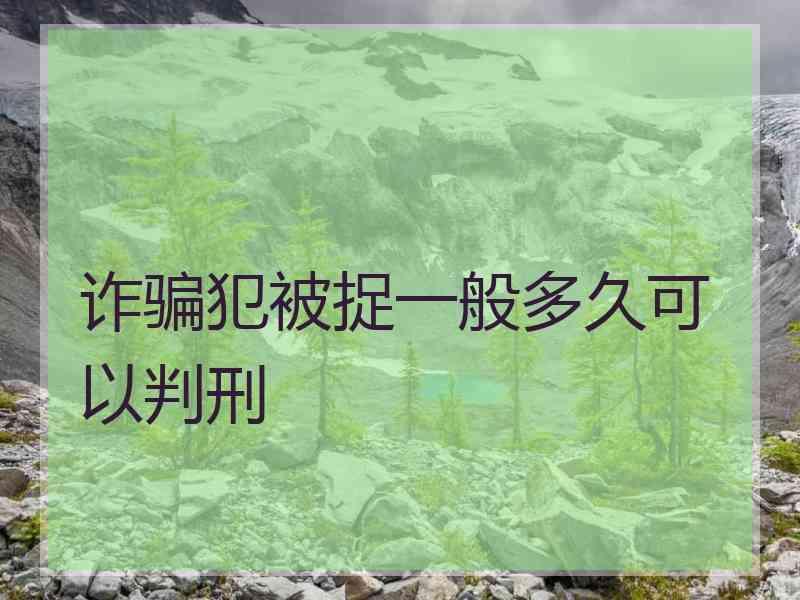 诈骗犯被捉一般多久可以判刑