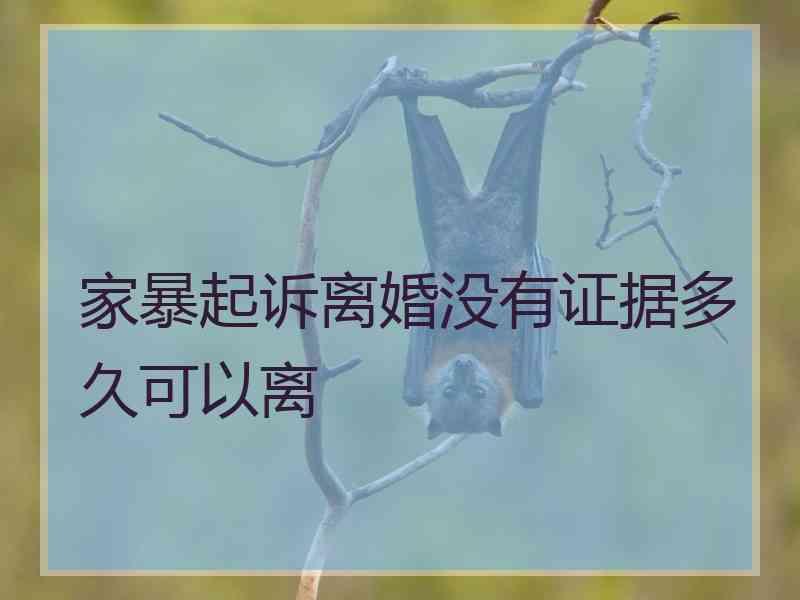 家暴起诉离婚没有证据多久可以离