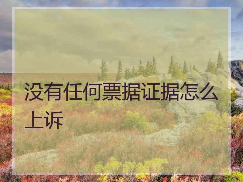 没有任何票据证据怎么上诉