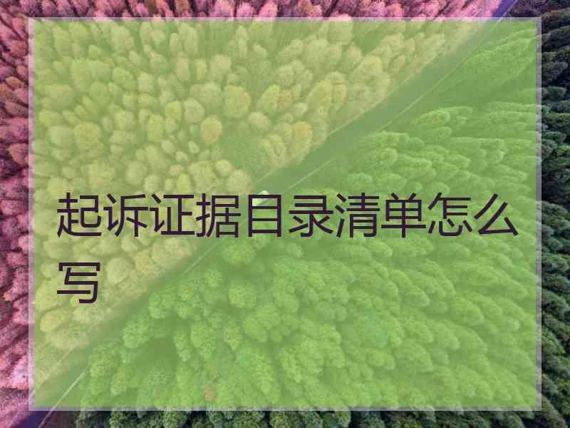 起诉证据目录清单怎么写