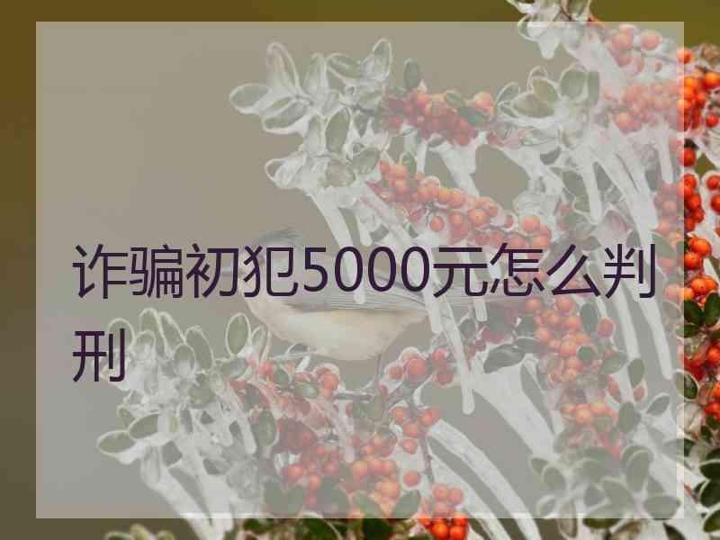 诈骗初犯5000元怎么判刑