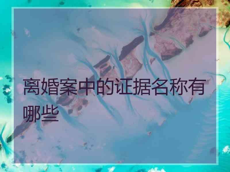 离婚案中的证据名称有哪些