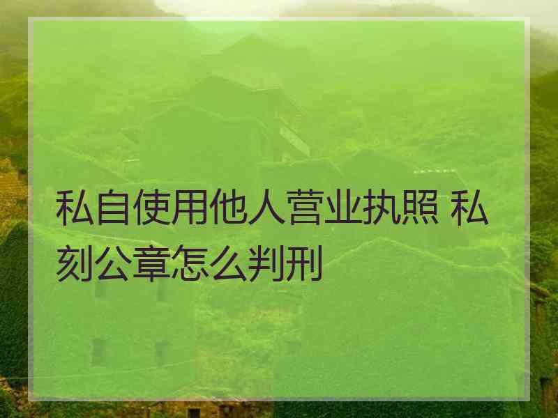 私自使用他人营业执照 私刻公章怎么判刑