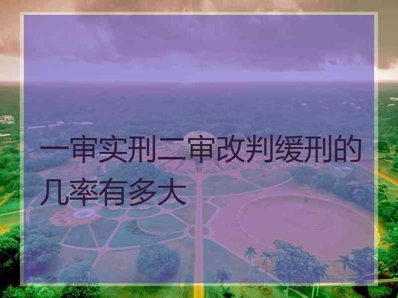 一审实刑二审改判缓刑的几率有多大