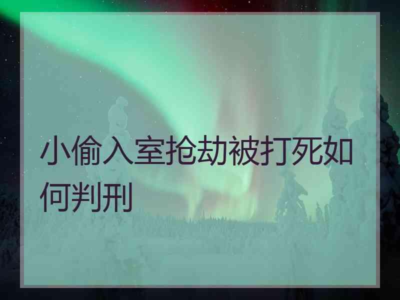 小偷入室抢劫被打死如何判刑