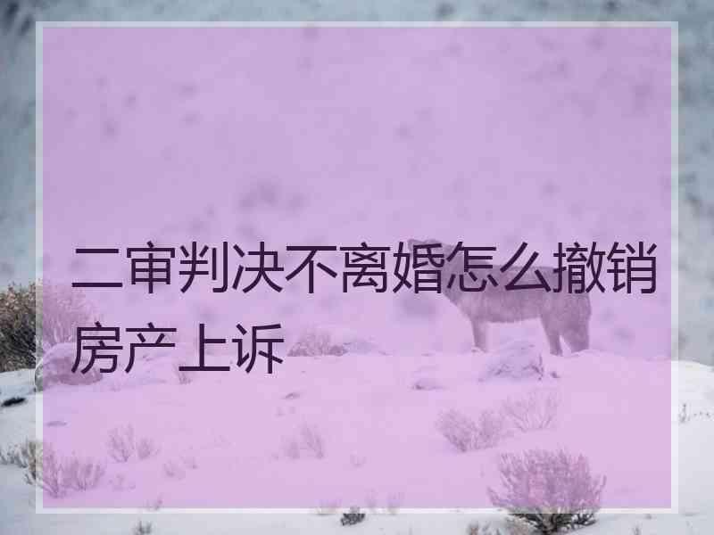 二审判决不离婚怎么撤销房产上诉