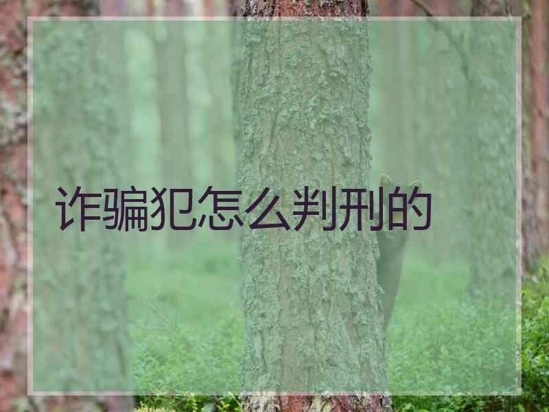 诈骗犯怎么判刑的