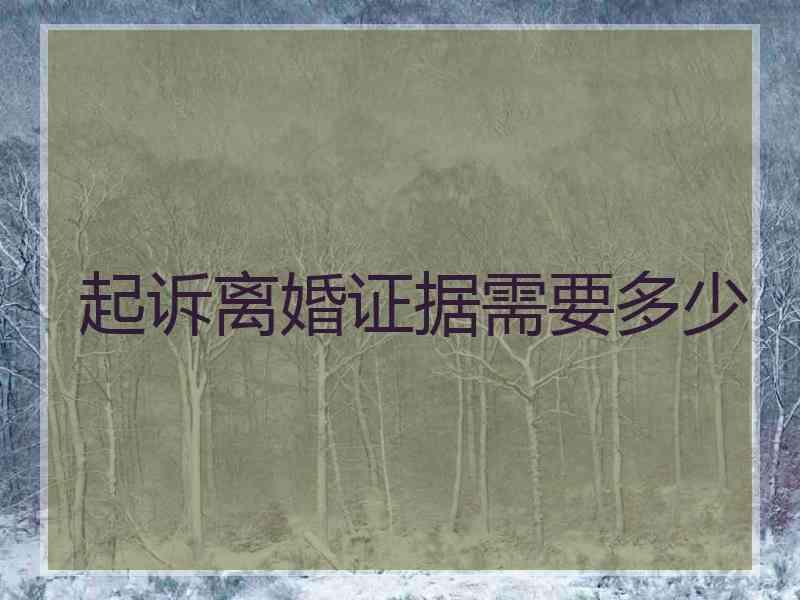 起诉离婚证据需要多少