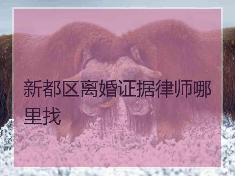 新都区离婚证据律师哪里找