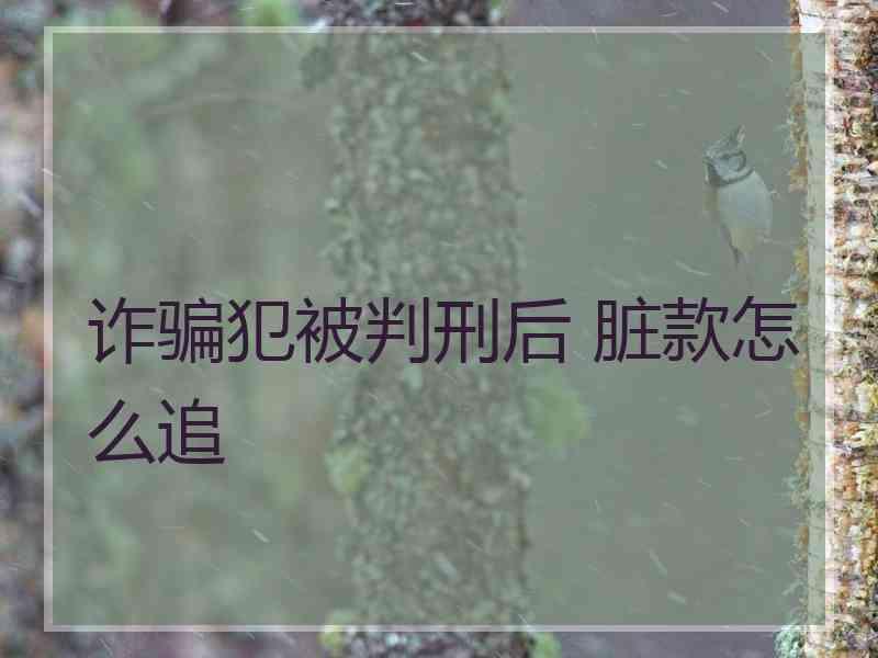 诈骗犯被判刑后 脏款怎么追