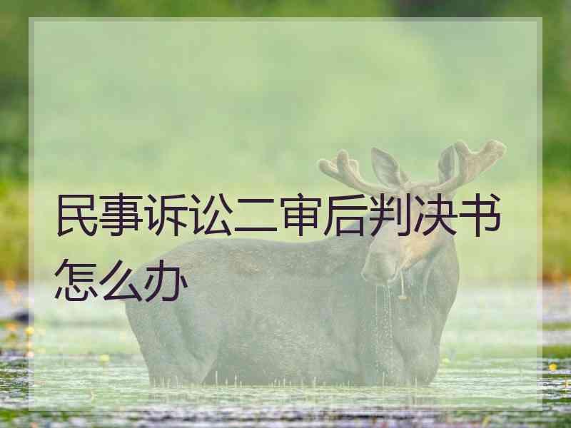 民事诉讼二审后判决书怎么办