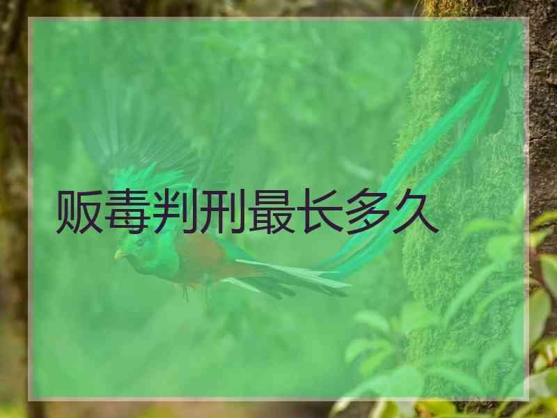 贩毒判刑最长多久