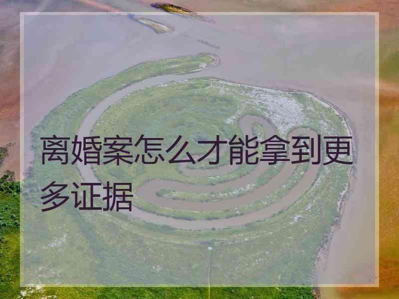 离婚案怎么才能拿到更多证据