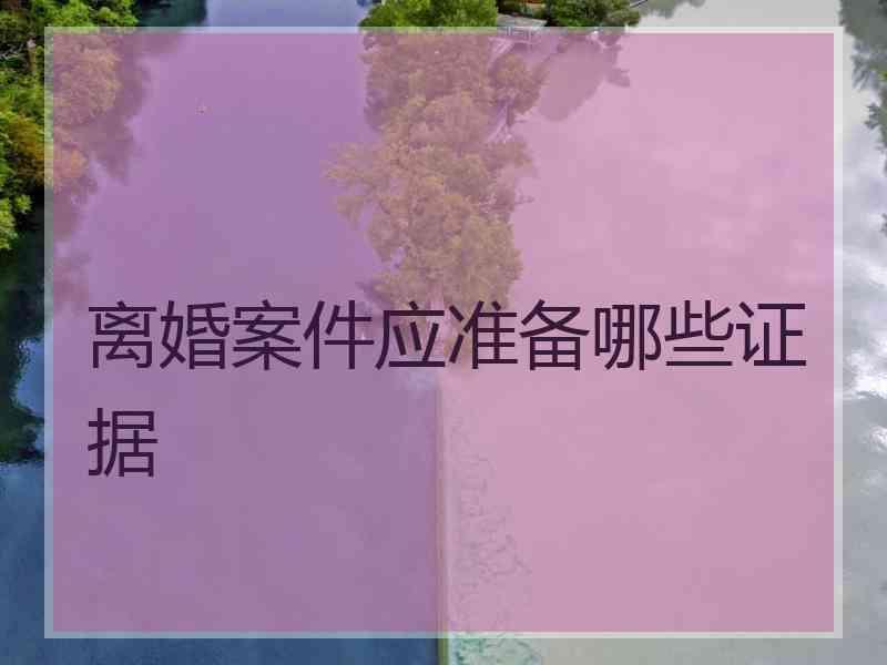 离婚案件应准备哪些证据