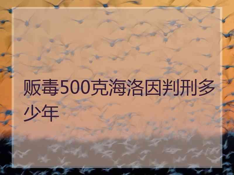 贩毒500克海洛因判刑多少年