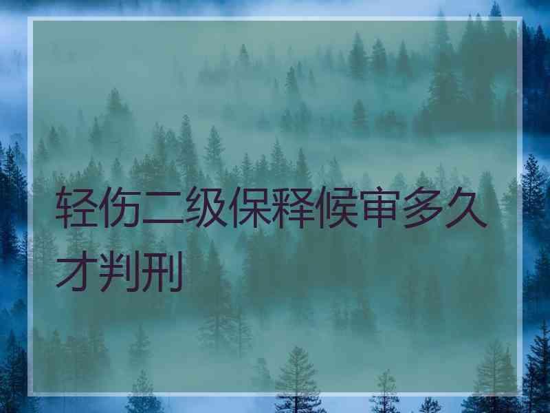 轻伤二级保释候审多久才判刑