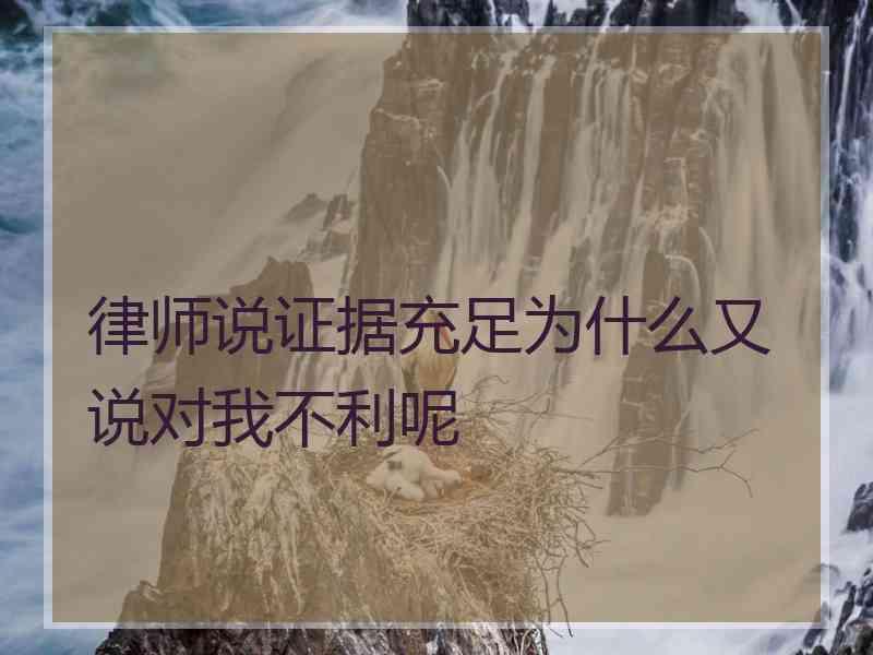 律师说证据充足为什么又说对我不利呢