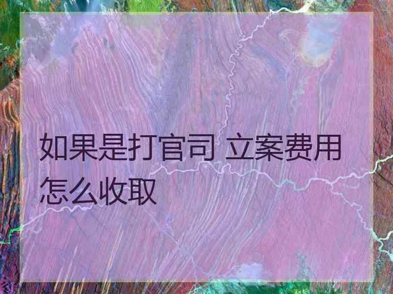 如果是打官司 立案费用怎么收取