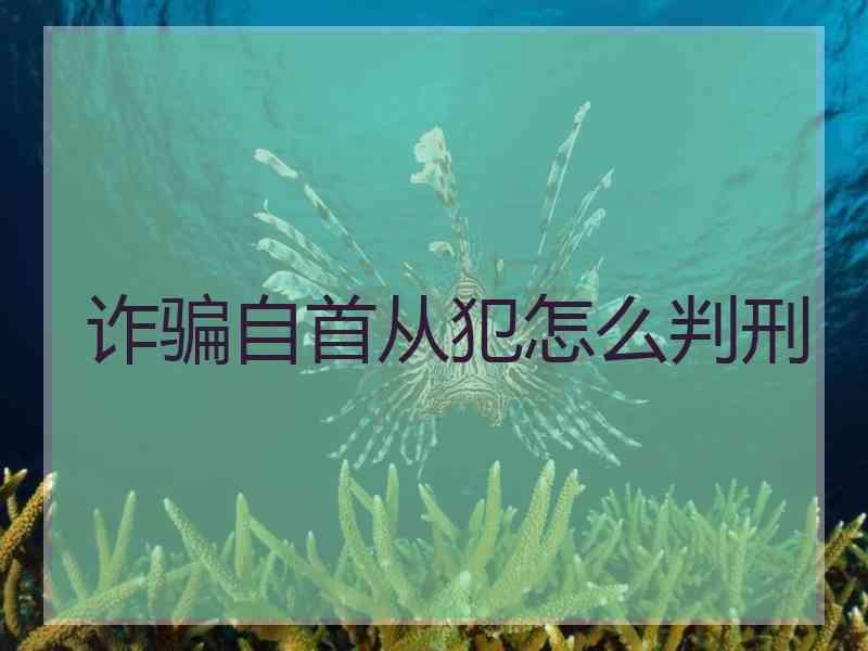 诈骗自首从犯怎么判刑