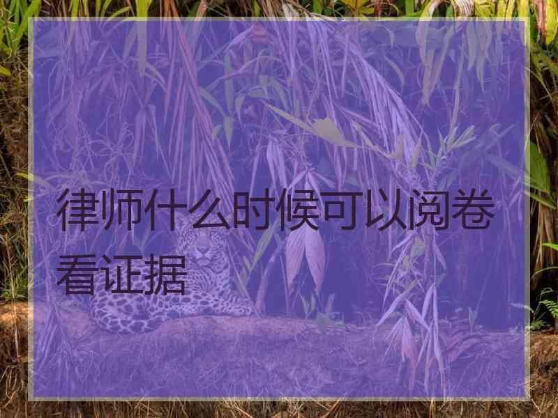 律师什么时候可以阅卷看证据