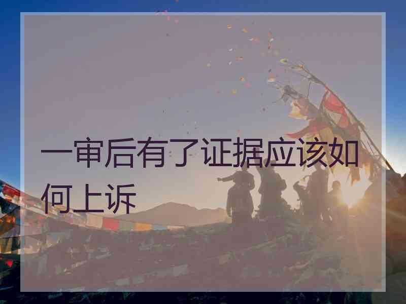 一审后有了证据应该如何上诉