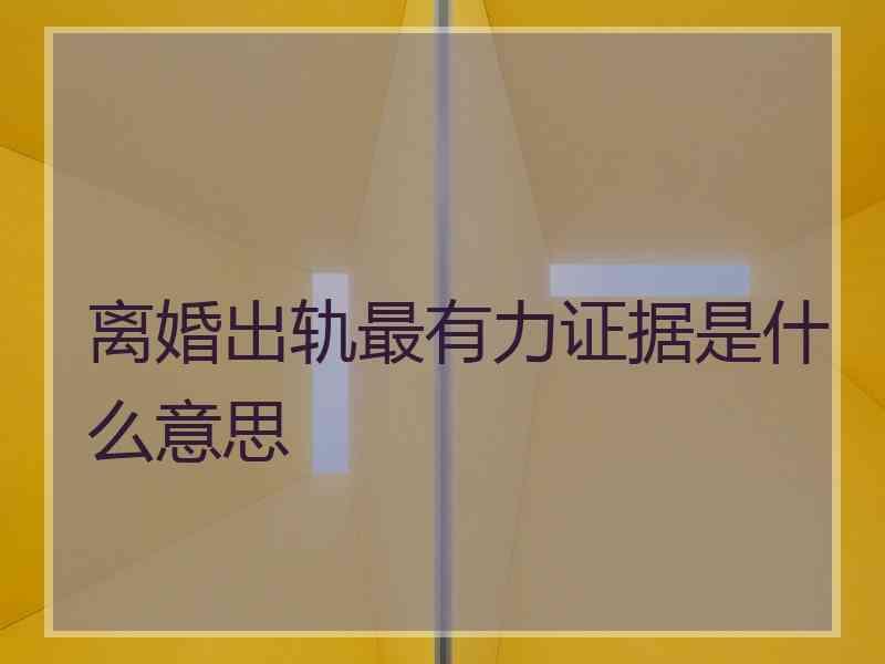 离婚出轨最有力证据是什么意思