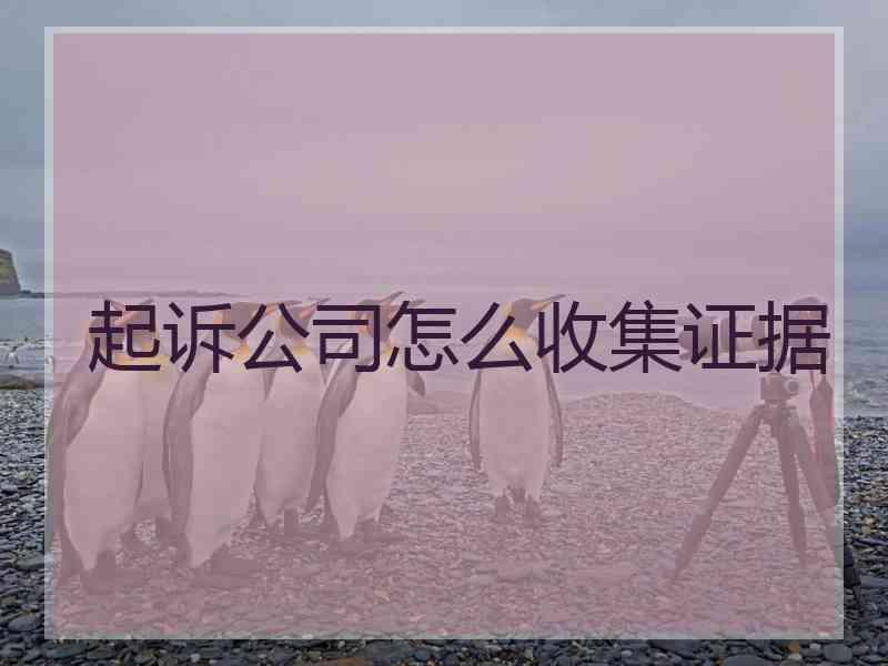 起诉公司怎么收集证据