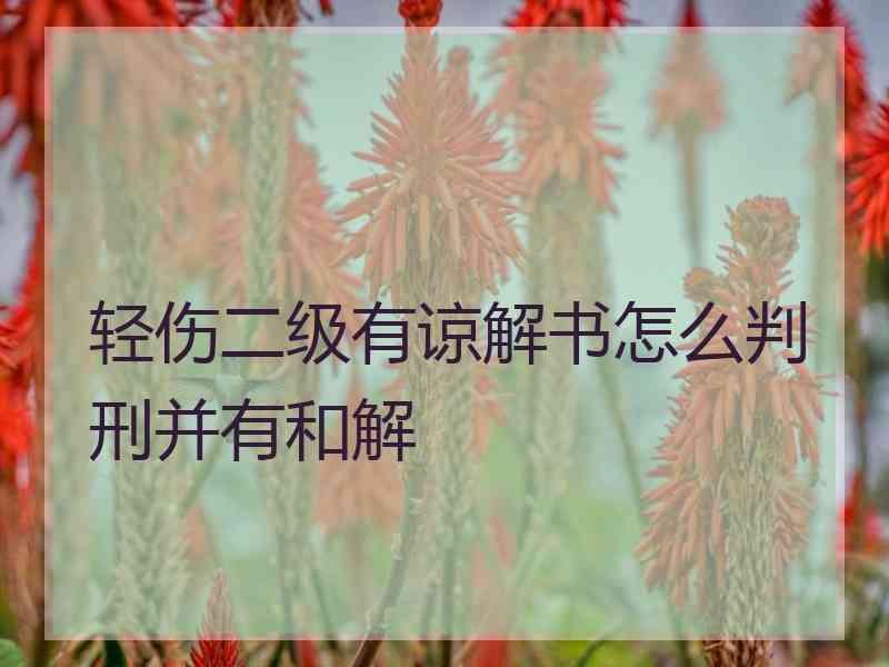 轻伤二级有谅解书怎么判刑并有和解