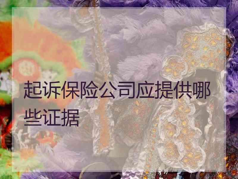 起诉保险公司应提供哪些证据