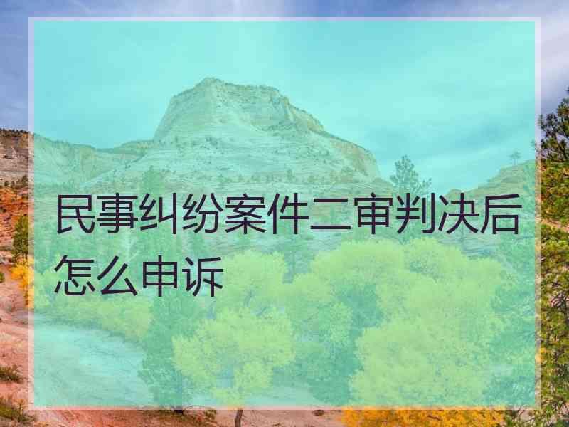 民事纠纷案件二审判决后怎么申诉