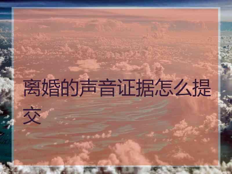 离婚的声音证据怎么提交