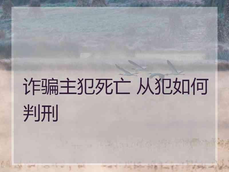 诈骗主犯死亡 从犯如何判刑