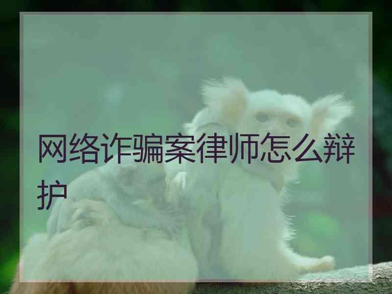网络诈骗案律师怎么辩护