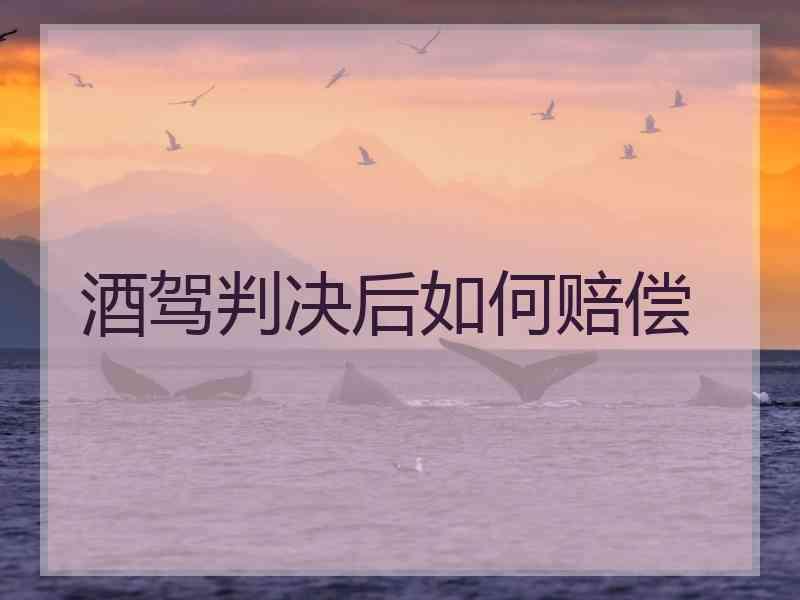 酒驾判决后如何赔偿