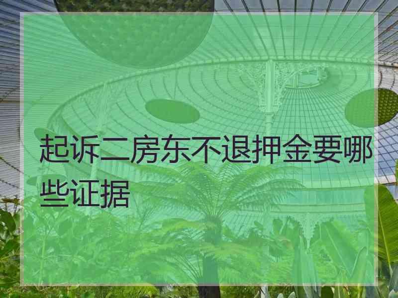 起诉二房东不退押金要哪些证据