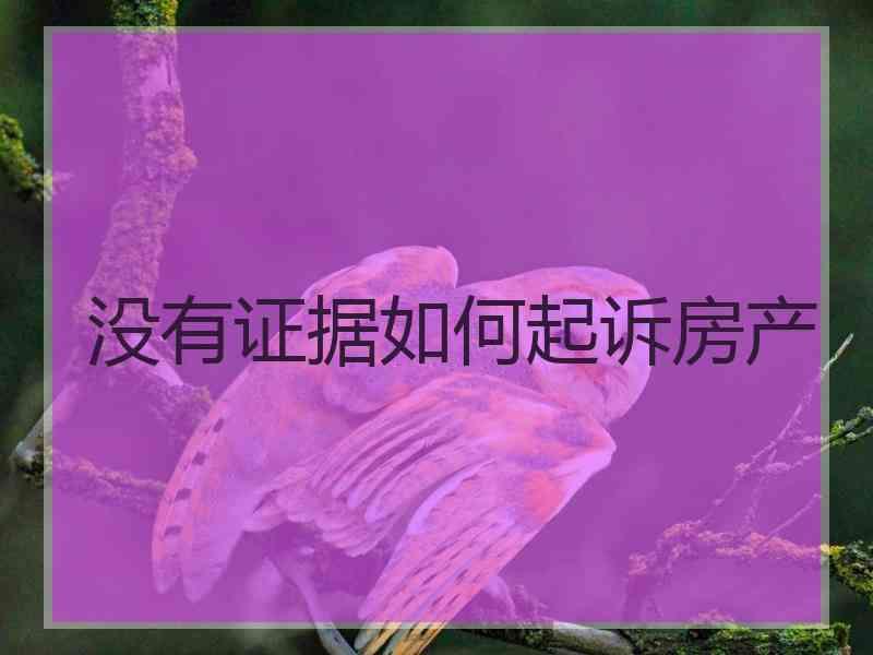 没有证据如何起诉房产