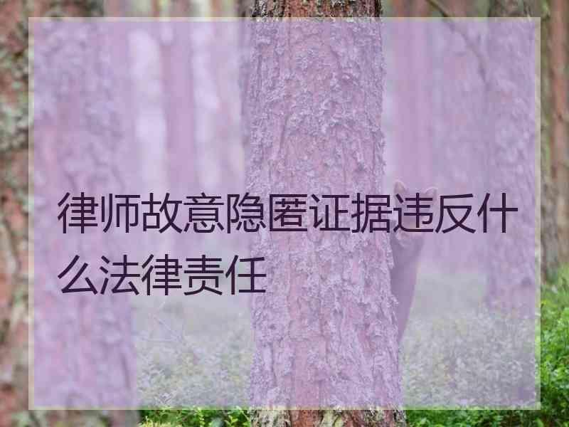 律师故意隐匿证据违反什么法律责任