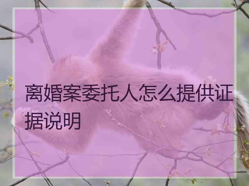 离婚案委托人怎么提供证据说明