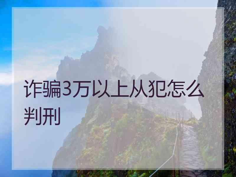 诈骗3万以上从犯怎么判刑